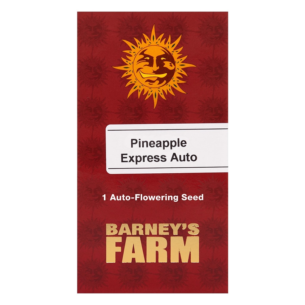 Seeds Barney's Farm Pineapple Express Automatic (Barney's Farm)