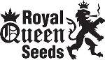 Royal Queen Seeds