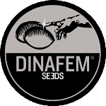 Dinafem Cannabis Seeds