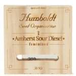 Amherst Sour Diesel Feminized (Humboldt)