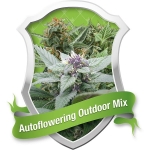 Outdoor Mix Automatic (Royal Queen Seeds)