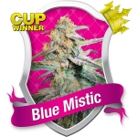 Blue Mistic Feminized (Royal Queen Seeds)