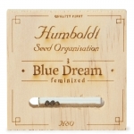 Blue Dream Feminized (Humboldt)