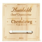 Chemdawg Feminized (Humboldt)