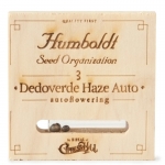 Dedoverde Haze Automatic (Humboldt)