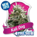 Kali Dog Feminized (Royal Queen Seeds)