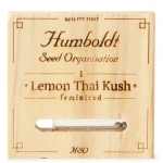 Lemon Thai Kush Feminized (Humboldt)