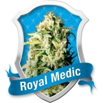 Royal Medic Medical (Royal Queen Seeds)
