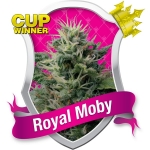 Royal Moby Feminized (Royal Queen Seeds)