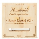 Sour Diesel #2 Feminized (Humboldt)