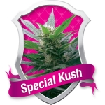 Special Kush #1 Feminized (Royal Queen Seeds)