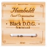 Black D.O.G. Feminized (Humboldt)
