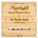 OG Kush Autoflowering (Humboldt)