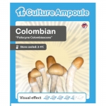 Culture Ampoule Psilocybe Cubensis Colombian