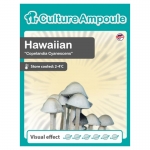 Culture Ampoule Psilocybe Cubensis Hawaiian