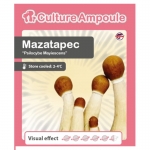 Culture Ampoule Psilocybe Cubensis Mazatapec