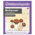 Culture Ampoule Psilocybe Cubensis Mckennaii