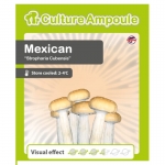 Culture Ampoule Psilocybe Cubensis Mexican