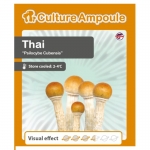 Culture Ampoule Psilocybe Cubensis Thai
