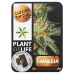 Amnesia CBD Solid 3,8% (Plant of Life)