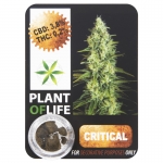 Critical CBD Solid 3,8% (Plant of Life)