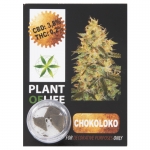 Chocoloco CBD Solid 3,8% (Plant of Life)