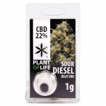 Sour Diesel CBD Jelly 22% (Plant of Life)
