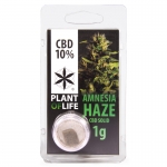 Amnesia Haze CBD Solid 10% (Plant of Life)