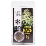Lemon Haze CBD Solid 10% (Plant of Life)