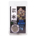 CBD Solid 10% (Plant of Life) Blueberry