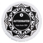 Haze Autoflowering CBD (Dinafem)