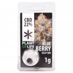 Blueberry CBD Jelly 22% (Plant of Life) 1g