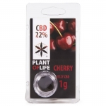 Cherry CBD Jelly 22% (Plant of Life)