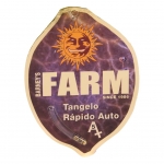 Tangelo Rapido Automatic (Barney's Farm)
