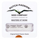 Frisian Duck Feminized (Dutch Passion)