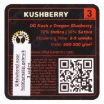 Kushberry Feminized (DNA Genetics)