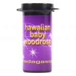 Hawaiian Baby Woodrose Madagascar 4 seeds