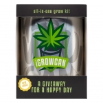 I Grow Can White Widow (Royal Queen Seeds)