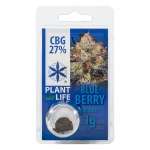 CBG Solid 27% Blueberry 1g (Plant of Life)