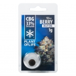 CBG Jelly 33% Blueberry 1g (Plant of Life)