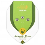 Amnesia Haze Automatic (Royal Queen Seeds)