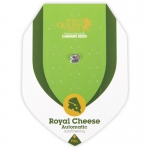 Royal Cheese Automatic 3 seeds (Royal Queen Seeds)