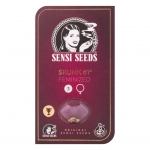 Skunk #1 Feminized 5 seeds (Sensi Seeds)