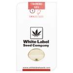 Strawberry Kush Feminzed (White Label Seeds)
