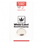 Master Kush Automatic (White Label Seeds)