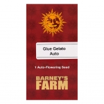 Glue Gelato Auto (Barney's Farm)