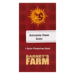 Amnesia Haze Auto (Barney's Farm)