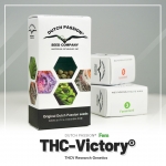 Auto THC-Victory High THC-V 3 seeds (Dutch Passion)