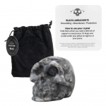 Crystal Skull Black Labradorite (Gothic)