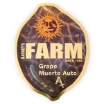 Grape Muerto Automatic (Barney's Farm)